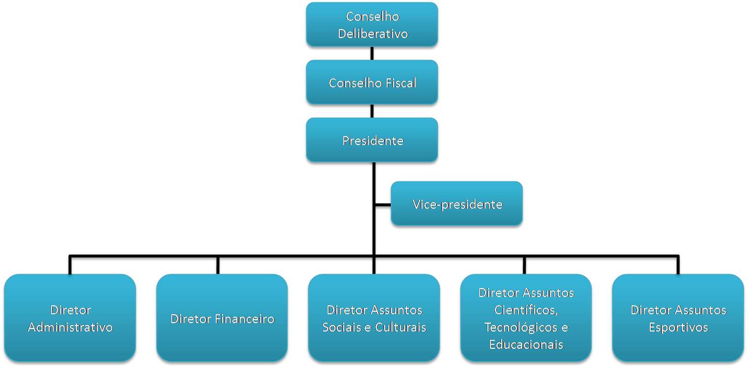 Organograma